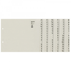 Leitz Registerserie 13060085 DIN A4 A-Z für 6Ordner Tauenpapier grau,