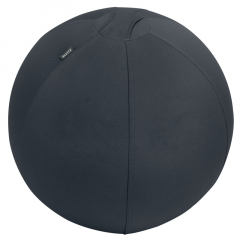 Leitz Sitzball Active 65410089 55cm gr,