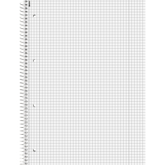 BRUNNEN Collegeblock 1067928152 DIN A4 80Bl. kariert grün,
