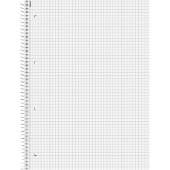 BRUNNEN Collegeblock 106783201 DIN A4 80Blatt kariert,