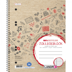 Landre Collegeblock 100050114 DIN A5 mit Rand 80Blatt kariert,