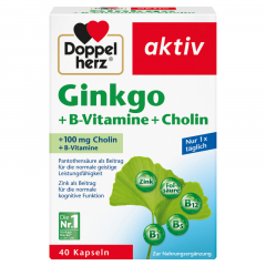 Doppelherz Ginkgo +B-Vitamine +Cholin 40St,