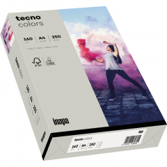 inapa tecno Kopierpapier colors 2100011364 A4 160g grau 250Bl.,