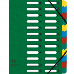 Exacompta Ordnungsmappe Harmonika 55243E DIN A4 24Fächer grün,