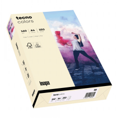 inapa tecno Kopierpapier Colors 2100011367 A4 160g h.chamois 250Bl.,