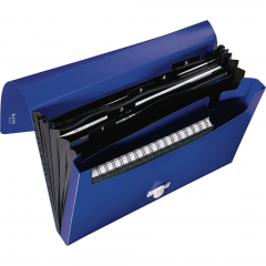 Leitz Projektmappe Recycle 46240035 A4 5Fächer blau,